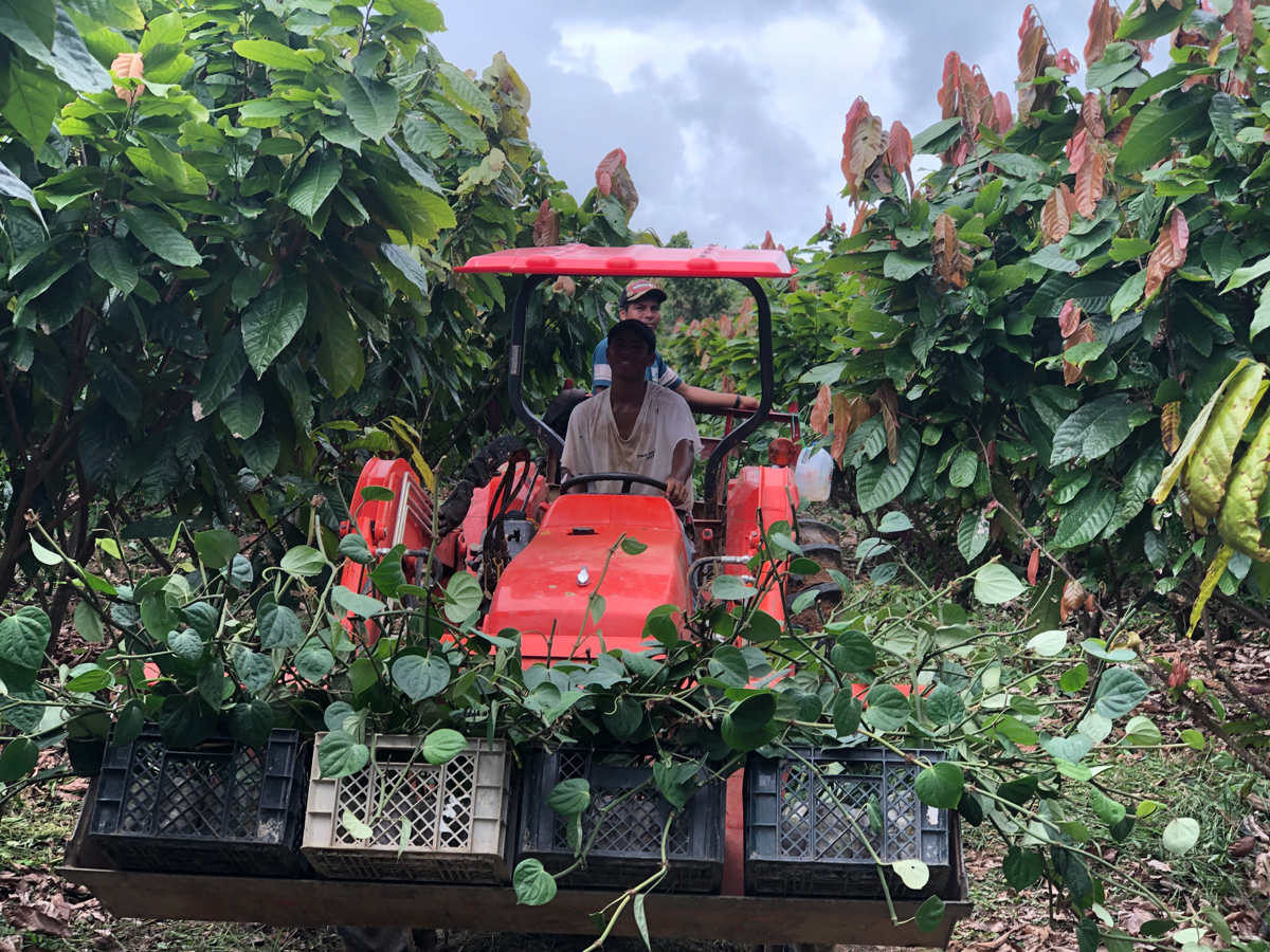 tractor-carrying-pepper.jpg